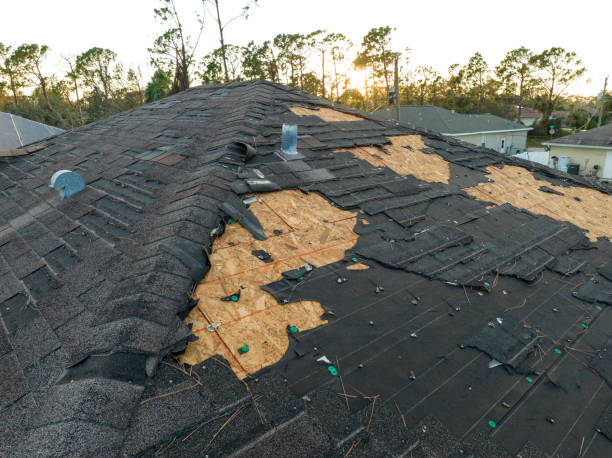 Best Asphalt Shingle Roofing  in Stone Park, IL