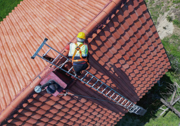 Best Asphalt Shingle Roofing  in Stone Park, IL