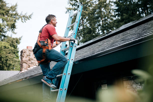 Best Wood Shake Roofing  in Stone Park, IL