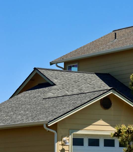 Best Roof Moss and Algae Removal  in Stone Park, IL